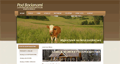Desktop Screenshot of bieszczadyterka.pl
